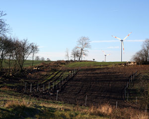 Landschaftsbau01