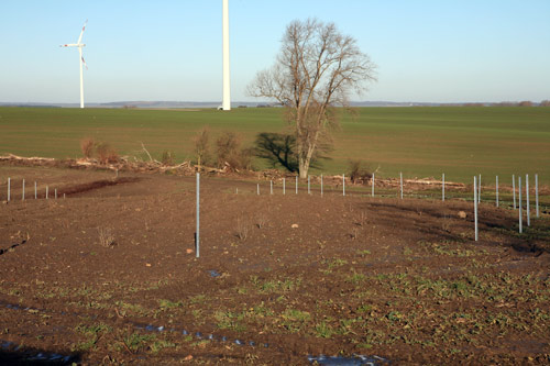 Uhrsleben
